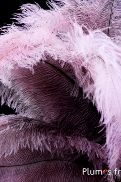 Autruche - 32-42 cm - gris clair-rose